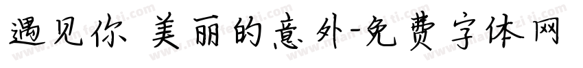 遇见你 美丽的意外字体转换